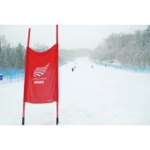 Liski downhill panel (75X100cm) -  FIS competition